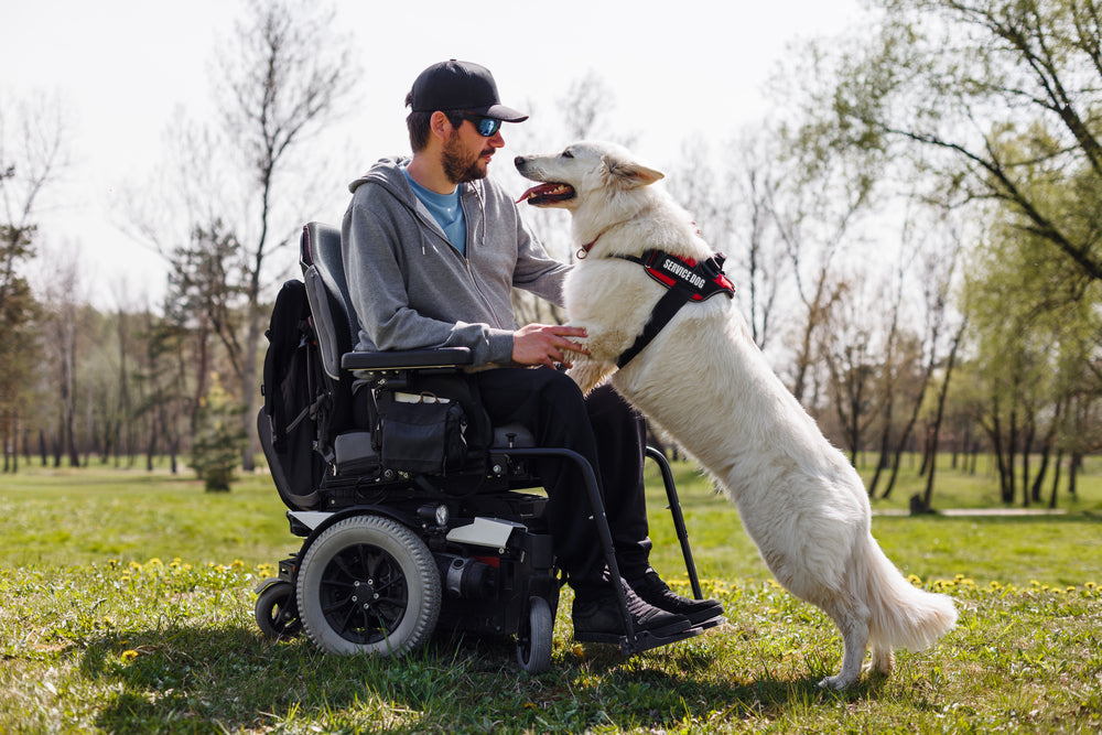 Does The VA Cover Mobility Scooters For Veterans?